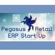 Pegasus ERP Start Up