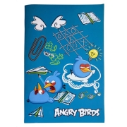 Paxos Τετράδιο Καρφίτσα 40Φ ANGRY BIRDS BACK TO SCHOOL